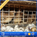 high quality/cheap chicken cages/quail cages